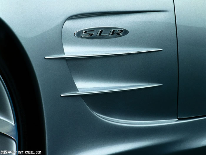 ����ϸ������