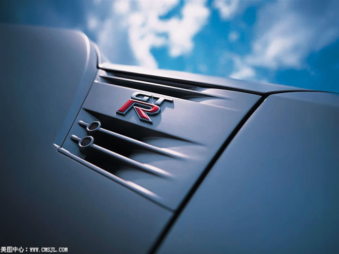 ����ϸ������