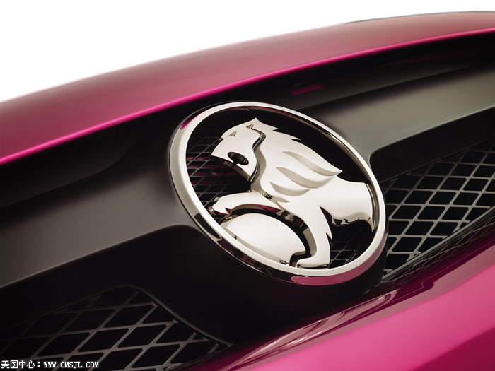 ����ϸ������