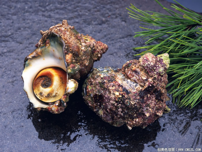 ���ʲ���