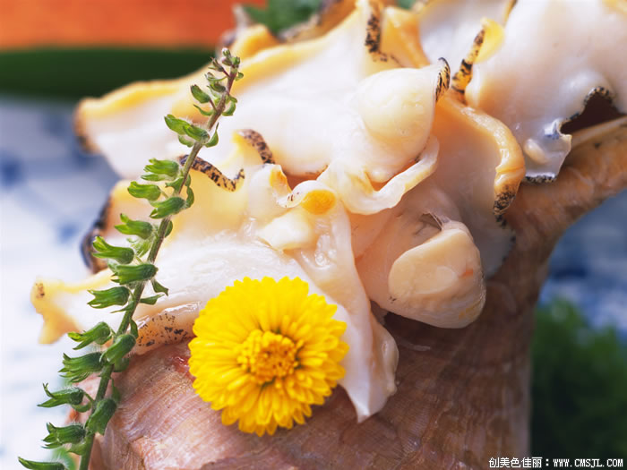 ���ʲ���