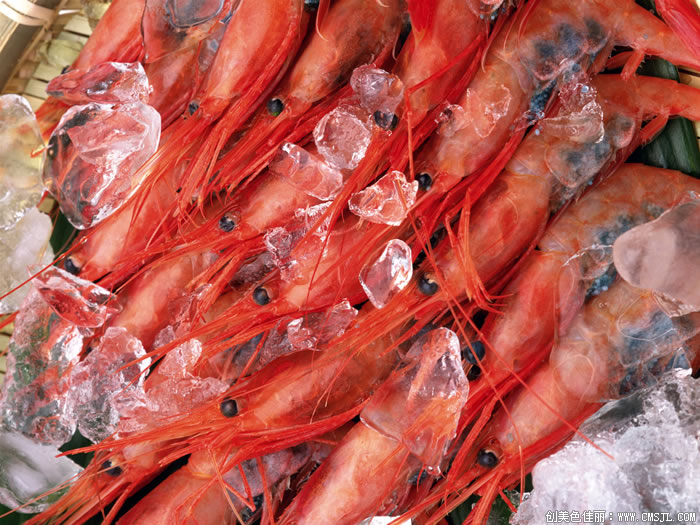 ���ʲ���