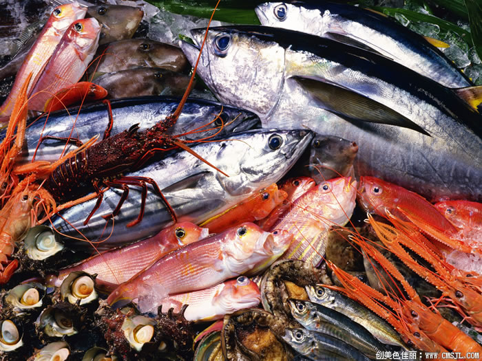 ���ʲ���