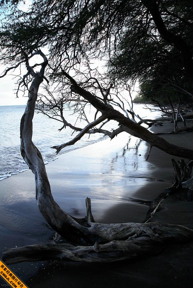 �̷���Ůʱ�и���д��