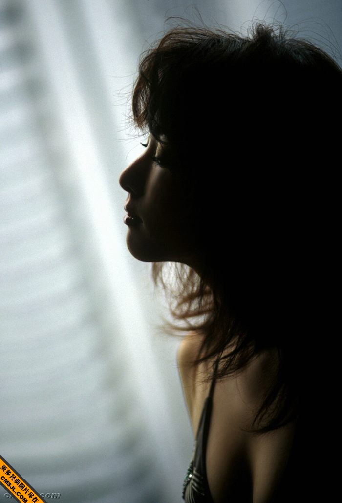 ����������ѩ�ۼ���