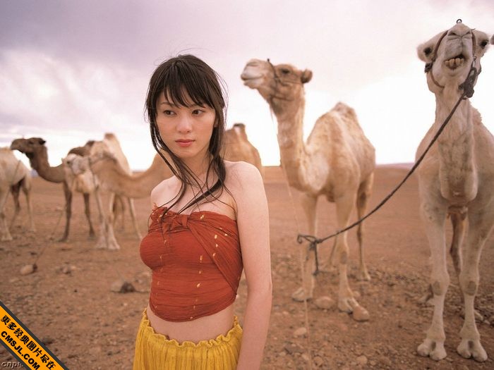 ��ŮΨ�������Ը�д��