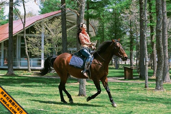 Ұ��ķŵ��Ը�����