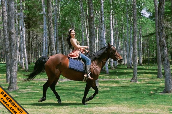 Ұ��ķŵ��Ը�����