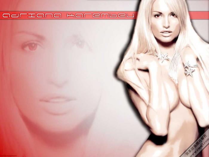 ���������ֽ