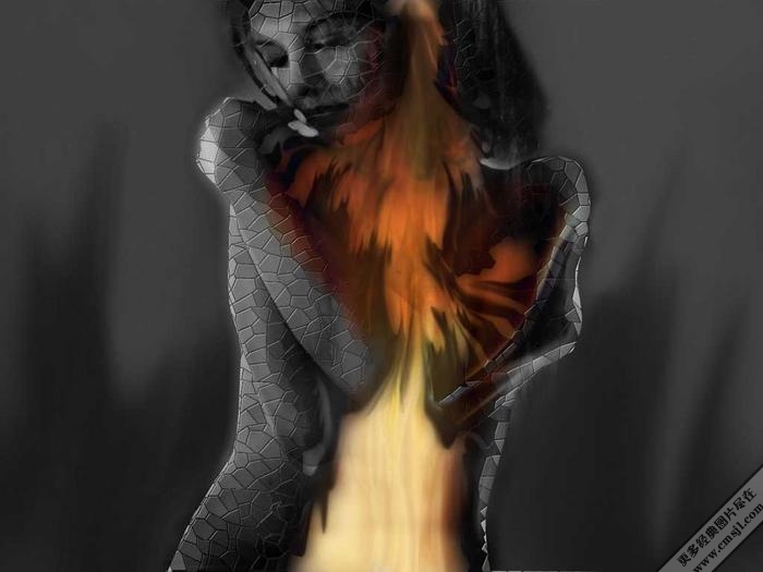 ���������ֽ