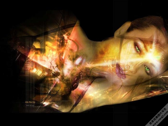 ���������ֽ