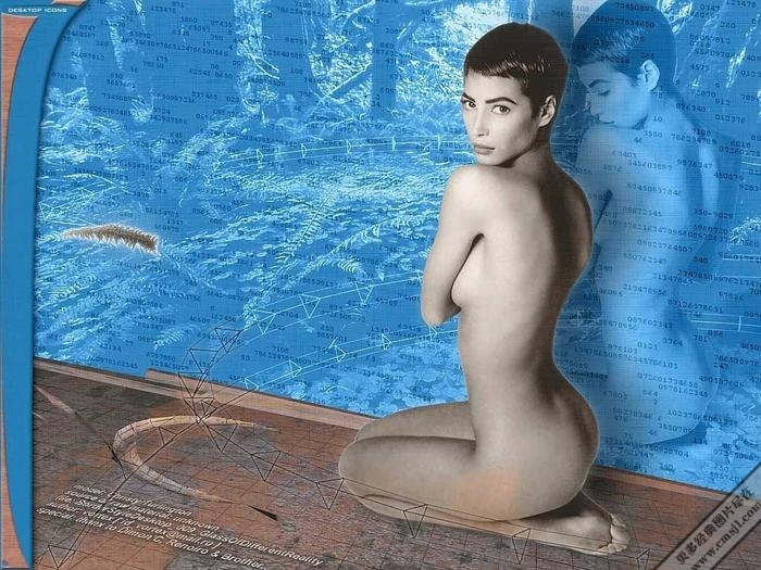 ���������ֽ