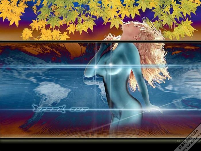 ���������ֽ