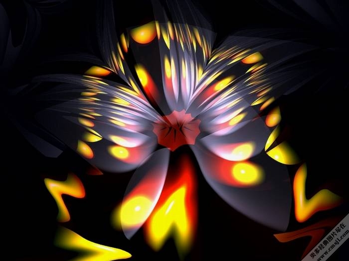 ������������ֽ