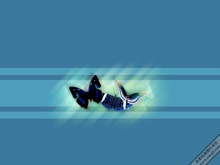 ������������ֽ