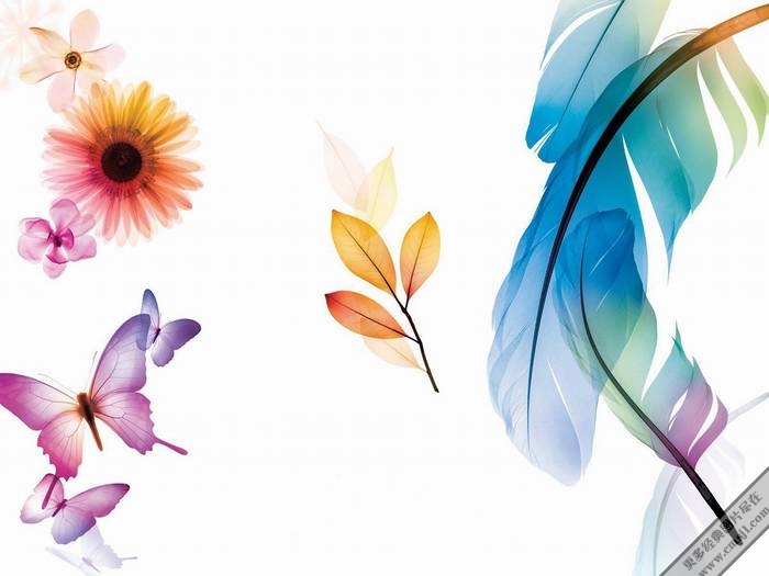 ������������ֽ