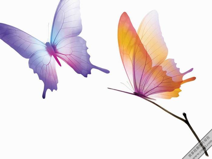 ������������ֽ