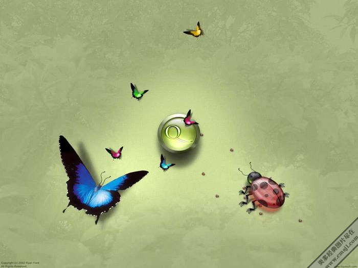 ������������ֽ