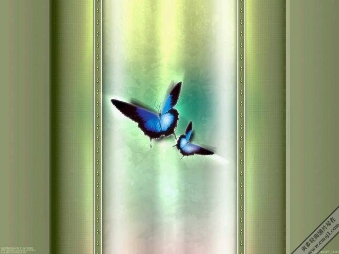 ������������ֽ