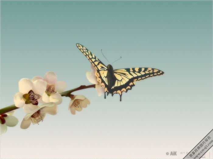 ������������ֽ