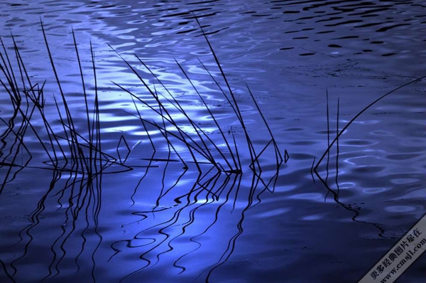 �ε�����