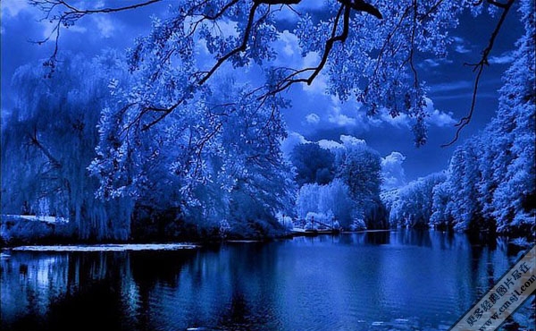 �ε�����