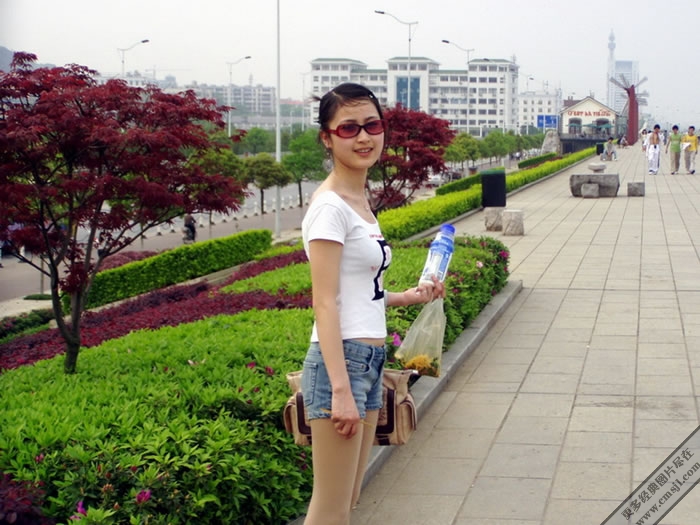 ����˽����Ƭ