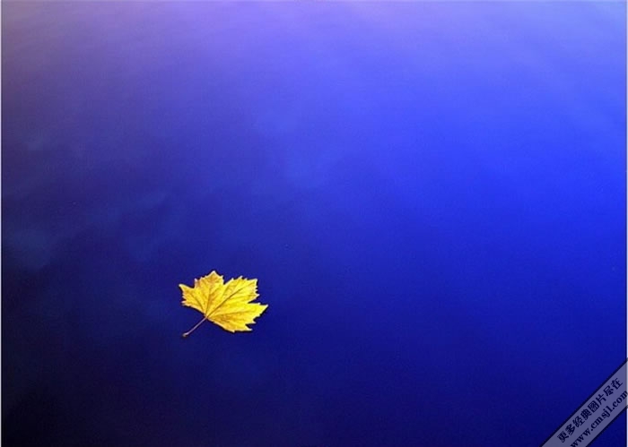 ��ɫ����