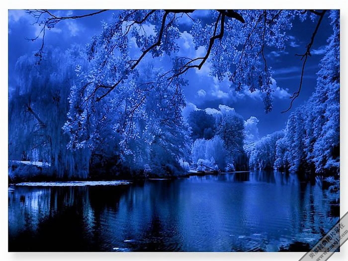 ��ɫ����