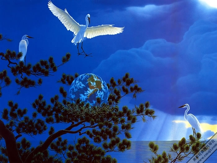 ��ɫ����