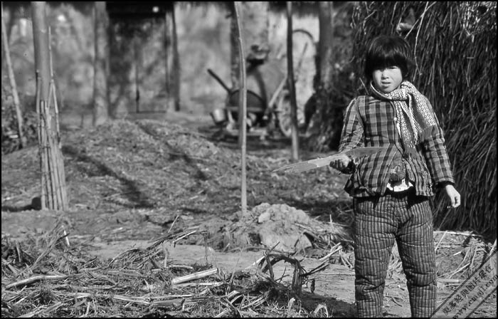 �ڰ���Ƭ����