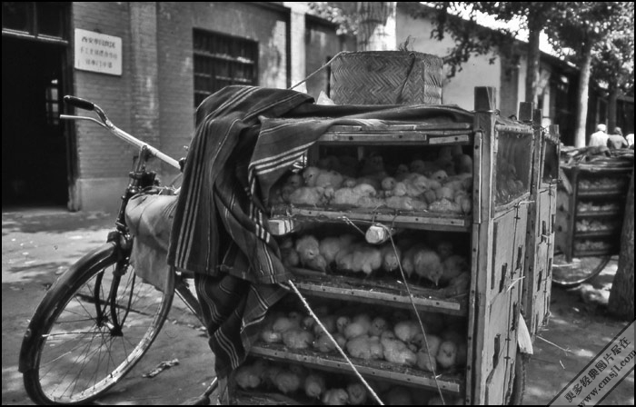 �ڰ���Ƭ����