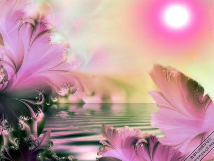 ps�����ز�