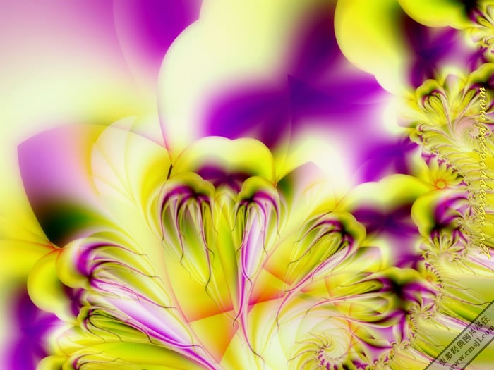 ps�����ز�