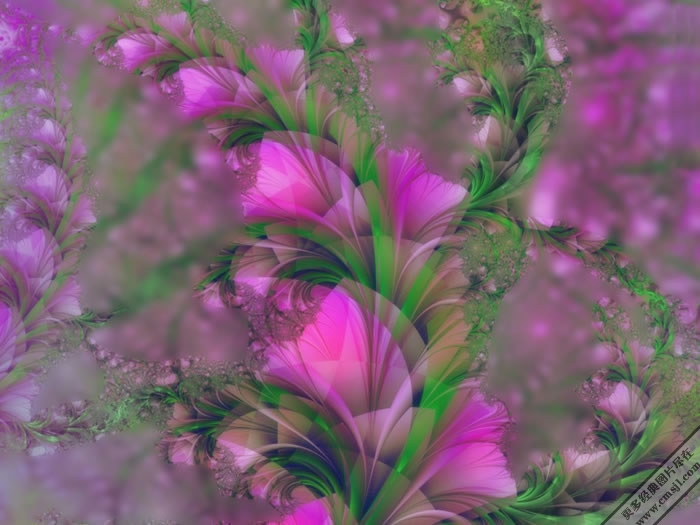 ����ͼƬ�ز�