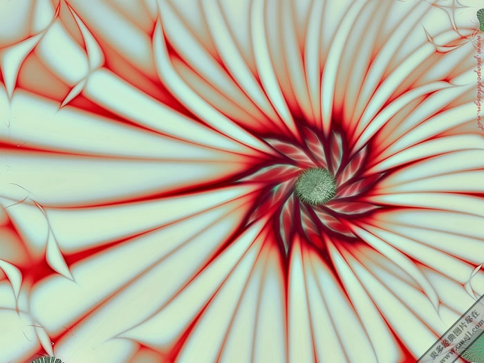 ���ͱ����ز�