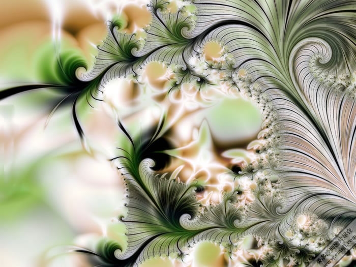 ���ͱ����ز�