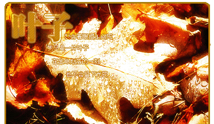 QQ����ǩ��