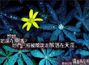 QQ����ǩ��