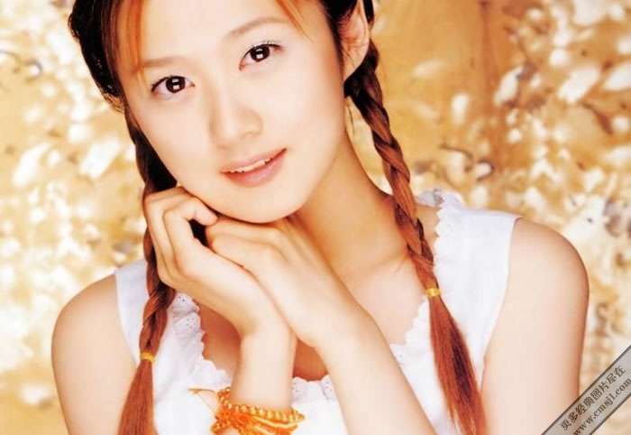 ����������Ƭ