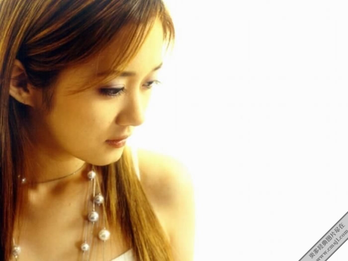 ����������Ƭ