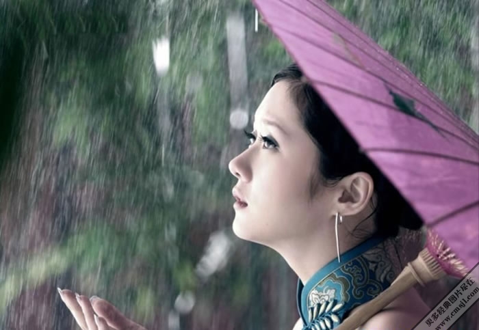 ����������Ƭ