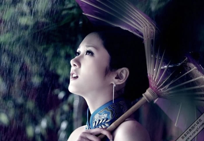 ����������Ƭ