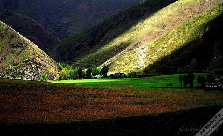 ������Ӱ��ֽ