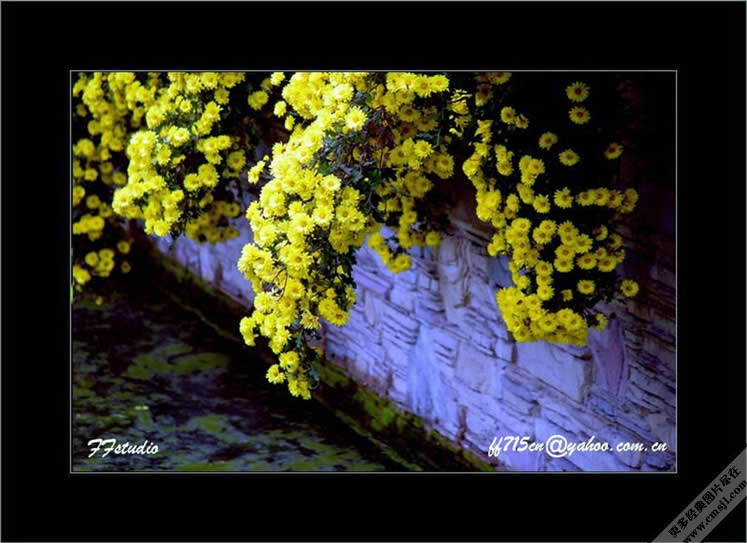 ������Ӱ��ֽ