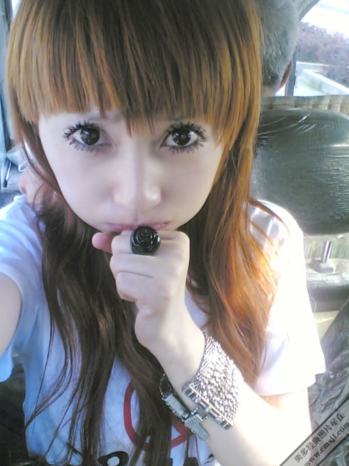 ����������ͼƬ