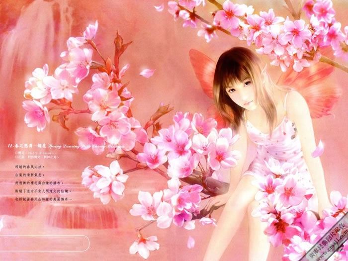 �ֻ���Ů��ֽ