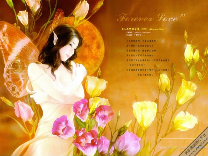 �ֻ���Ů��ֽ