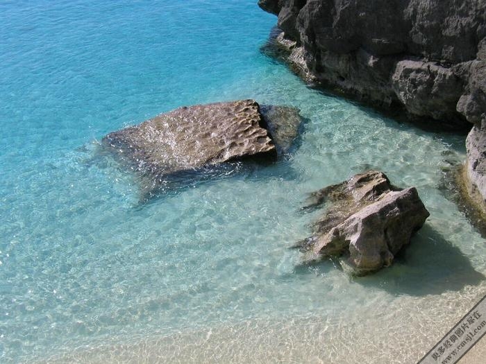 ������̲����������ֽ