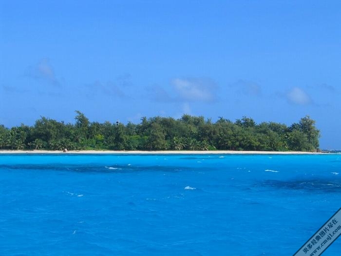 ������̲����������ֽ